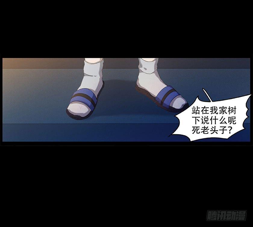【番外014鸟尸】13