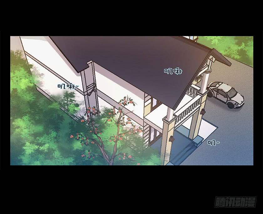【番外014鸟尸】2