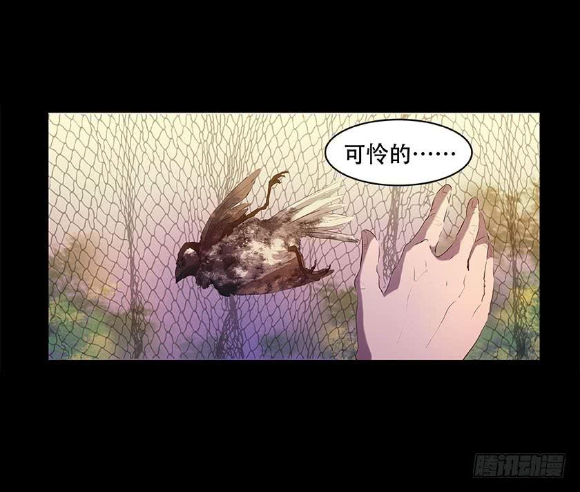 【番外014鸟尸】27