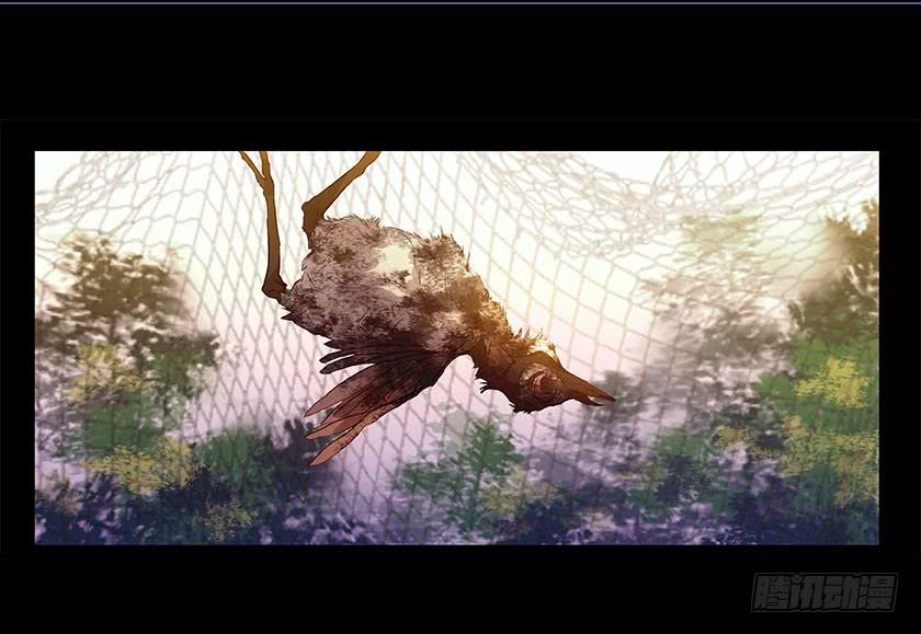 【番外014鸟尸】31