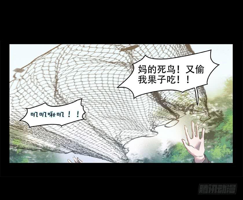 【番外014鸟尸】5