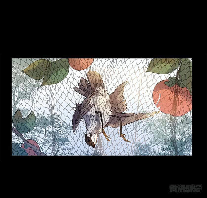 【番外014鸟尸】7