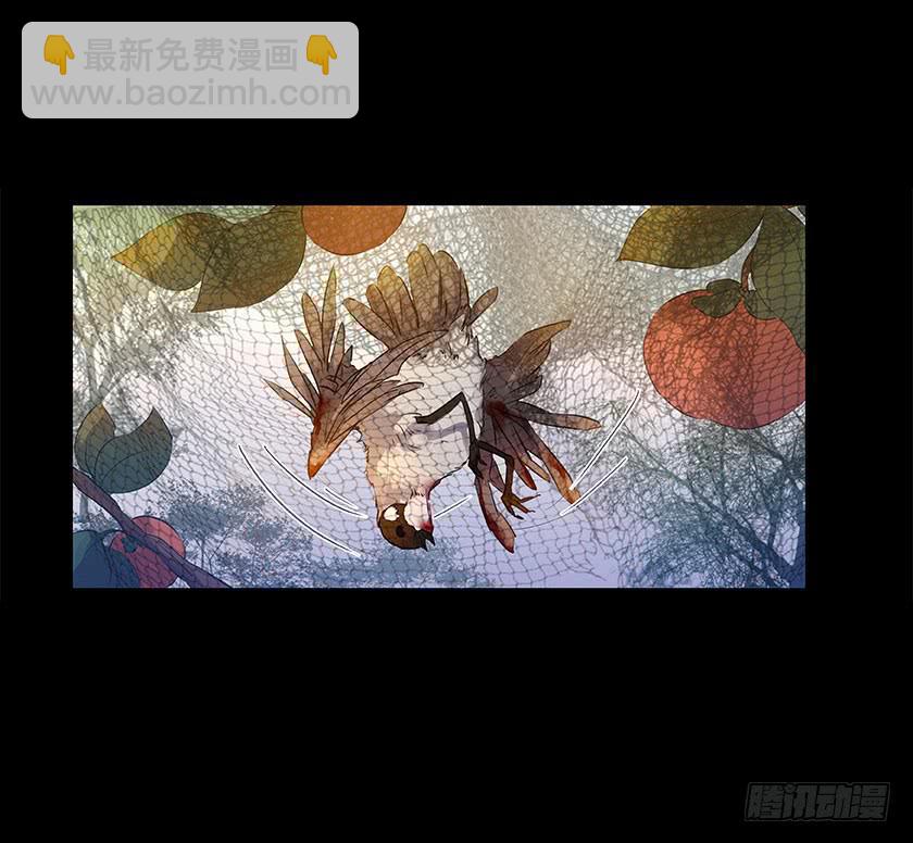 【番外014鸟尸】8