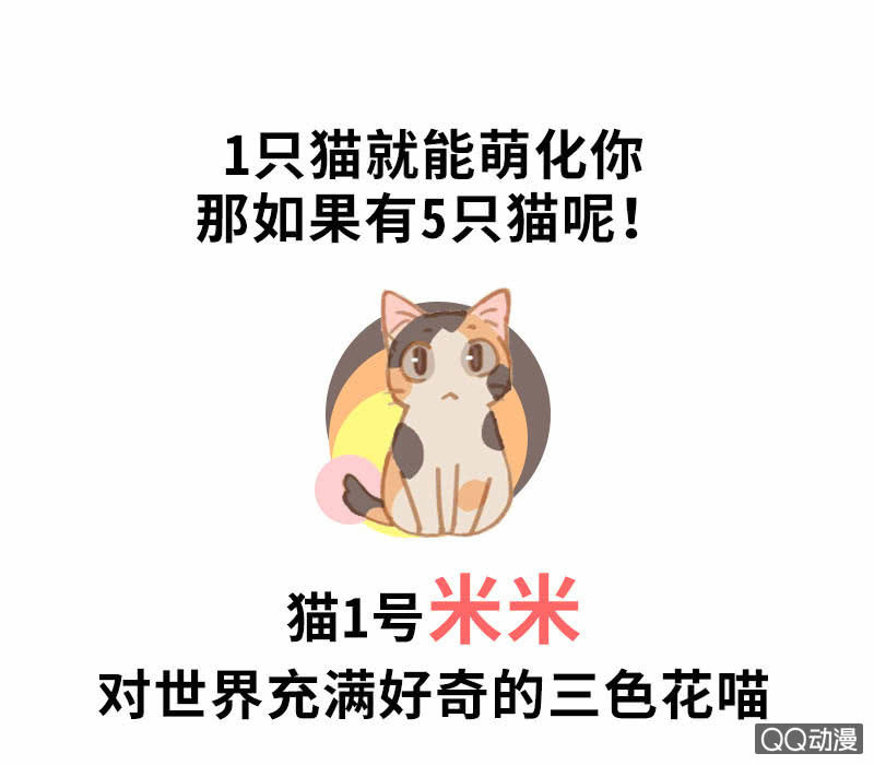 预告0