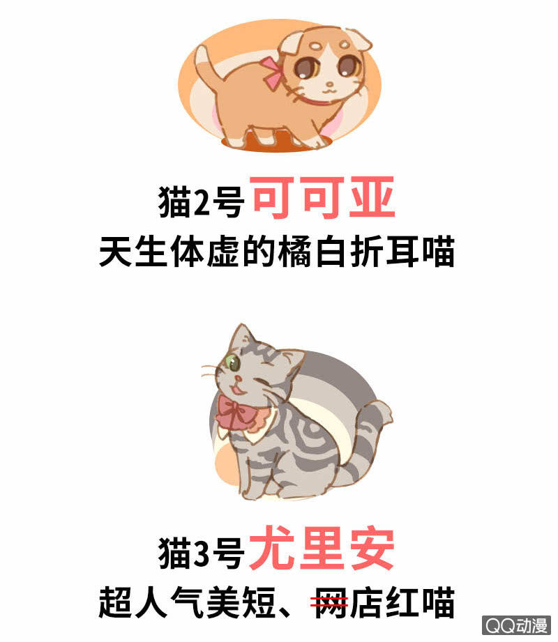 预告1