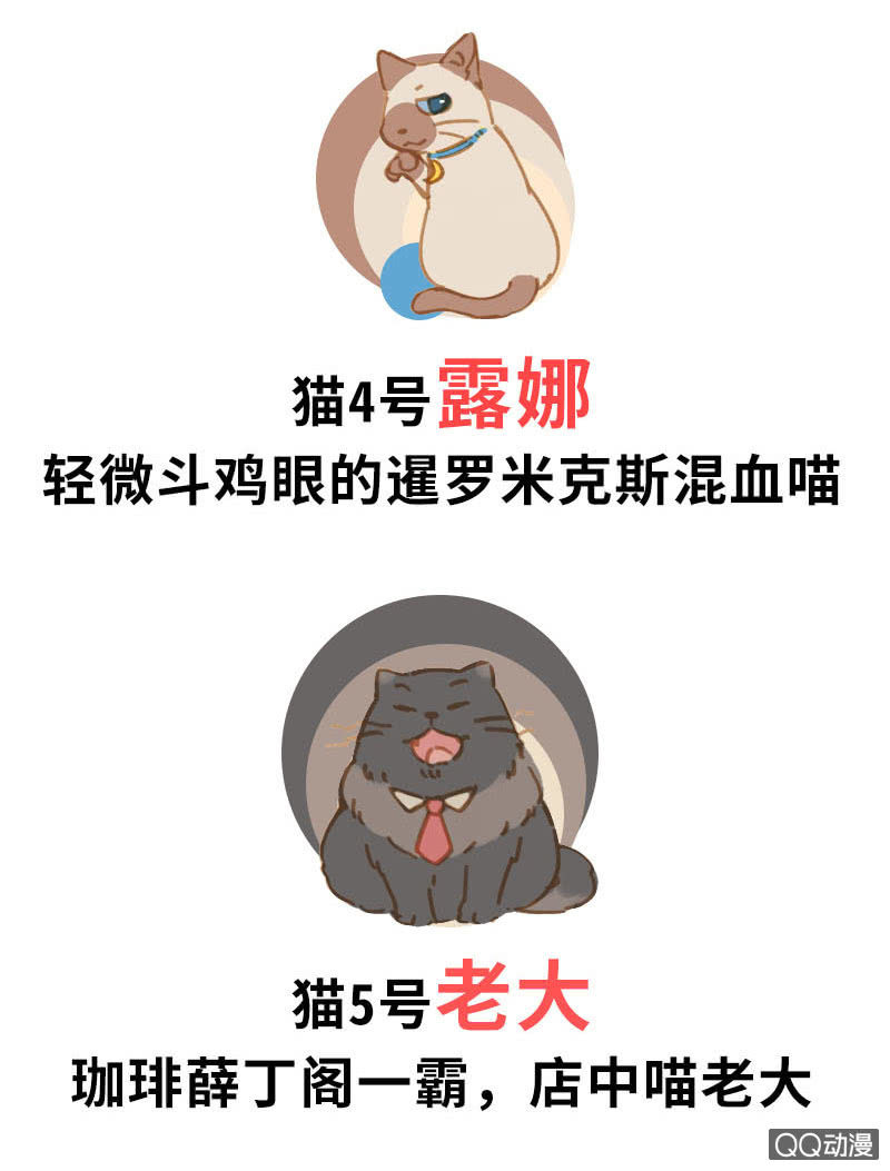 预告2