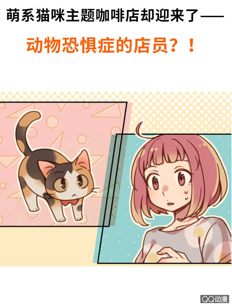 预告6