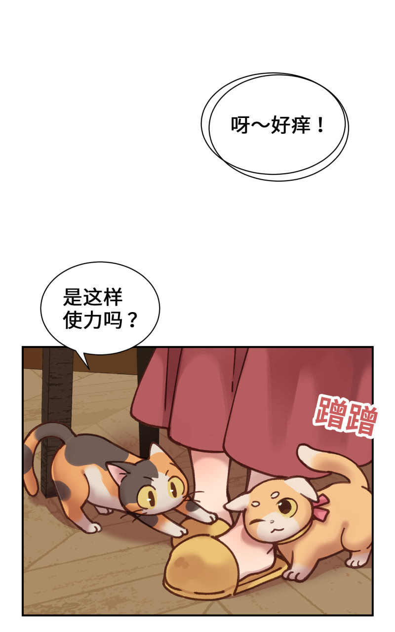 第5杯『米米前辈喵！』1