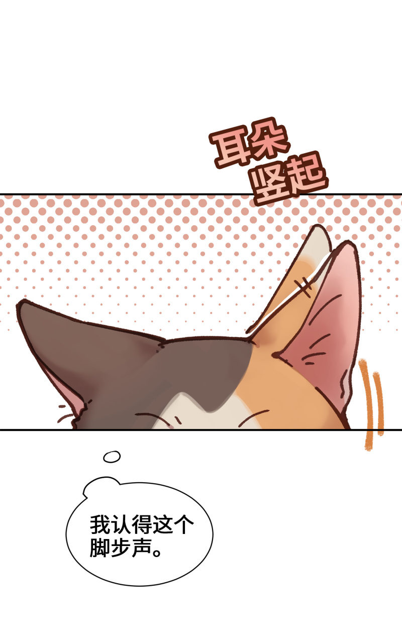 第5杯『米米前辈喵！』11