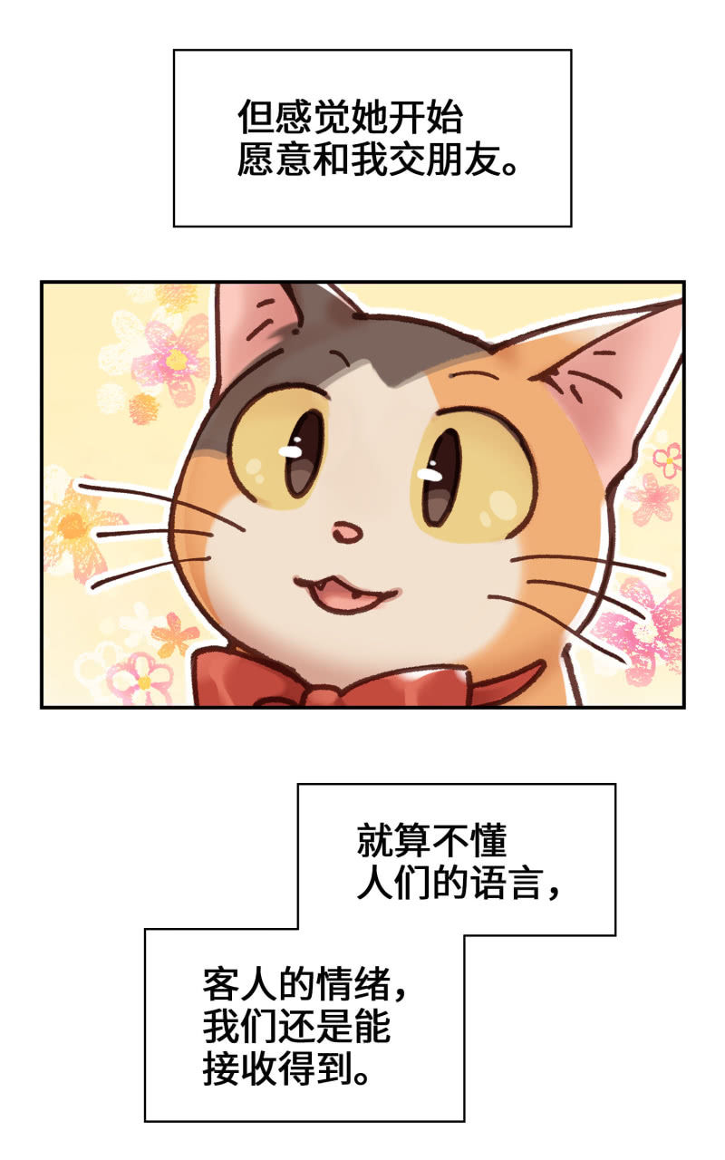 第5杯『米米前辈喵！』18