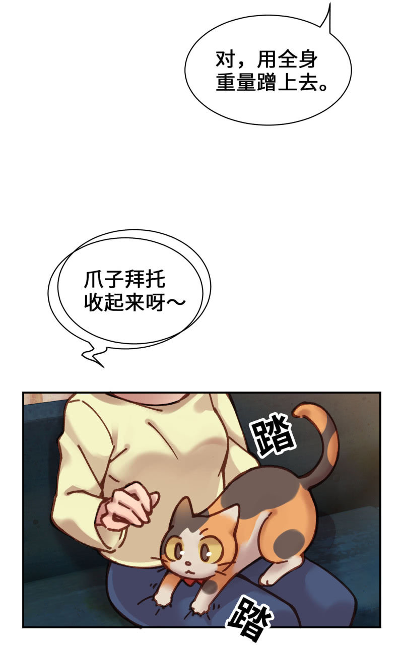 第5杯『米米前辈喵！』2