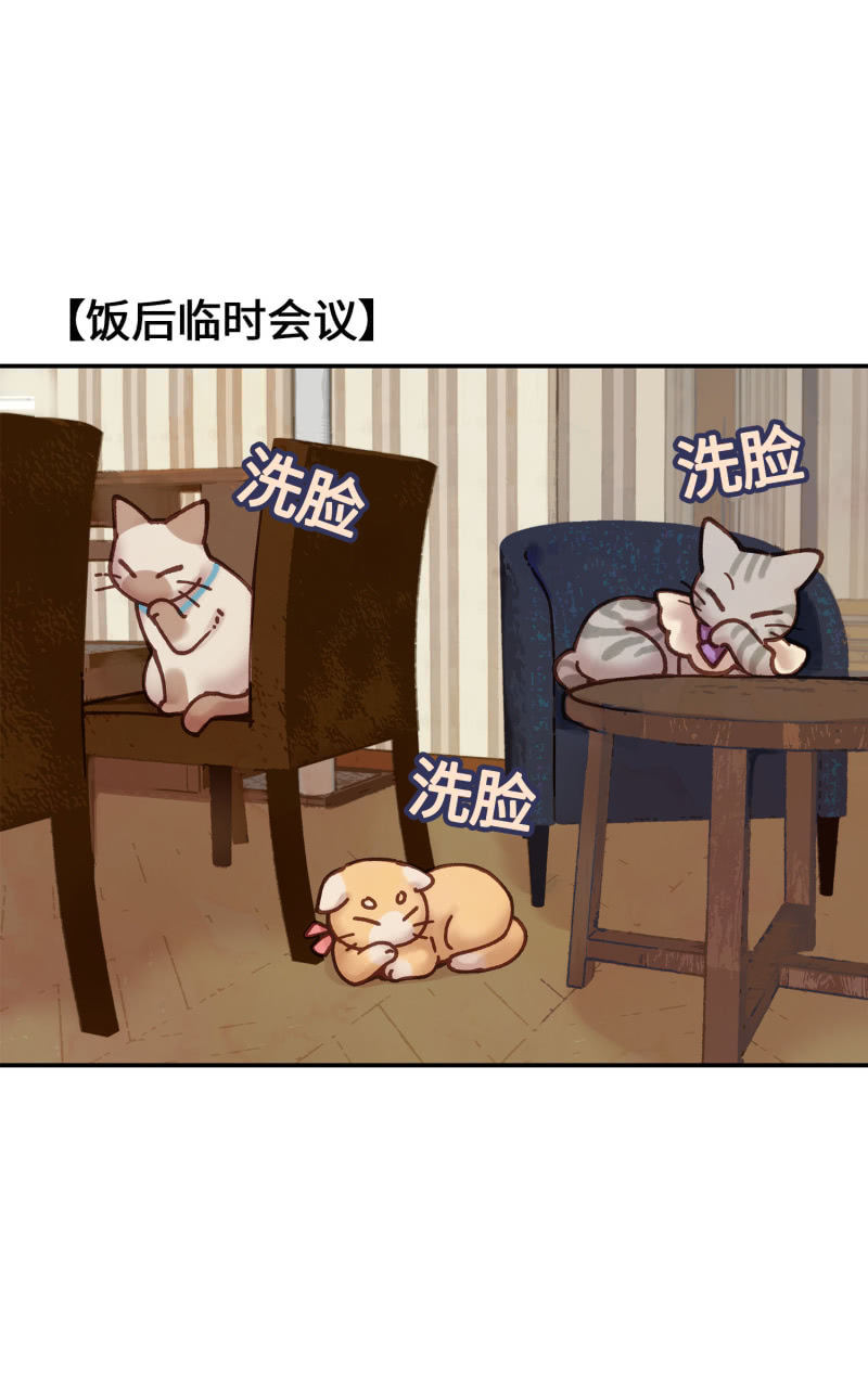 第5杯『米米前辈喵！』30