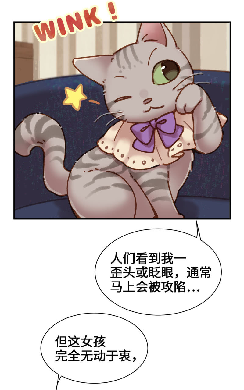 第5杯『米米前辈喵！』33