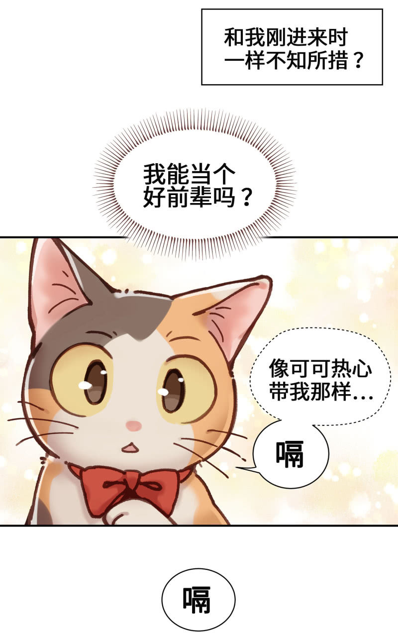 第5杯『米米前辈喵！』39