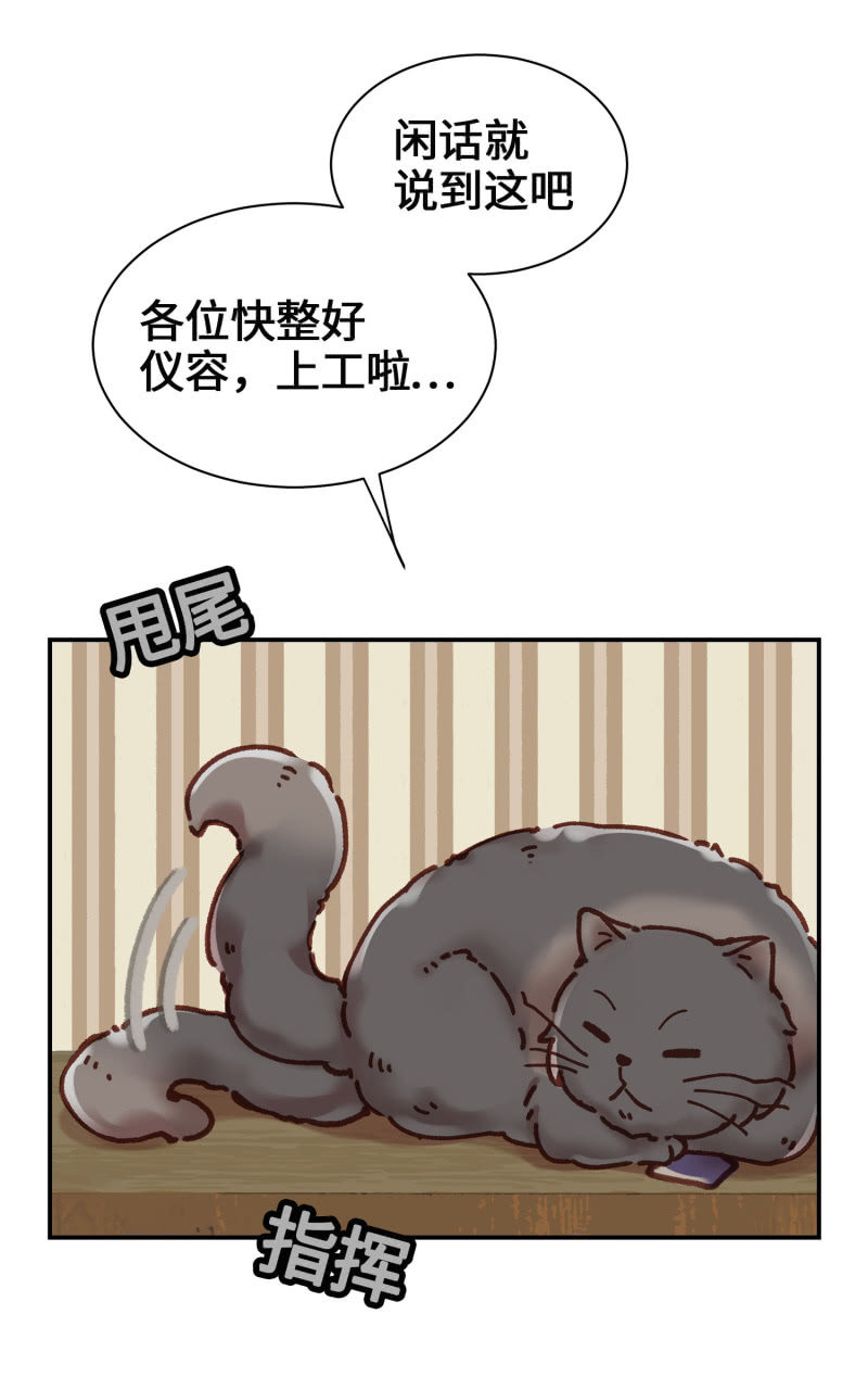 第5杯『米米前辈喵！』41