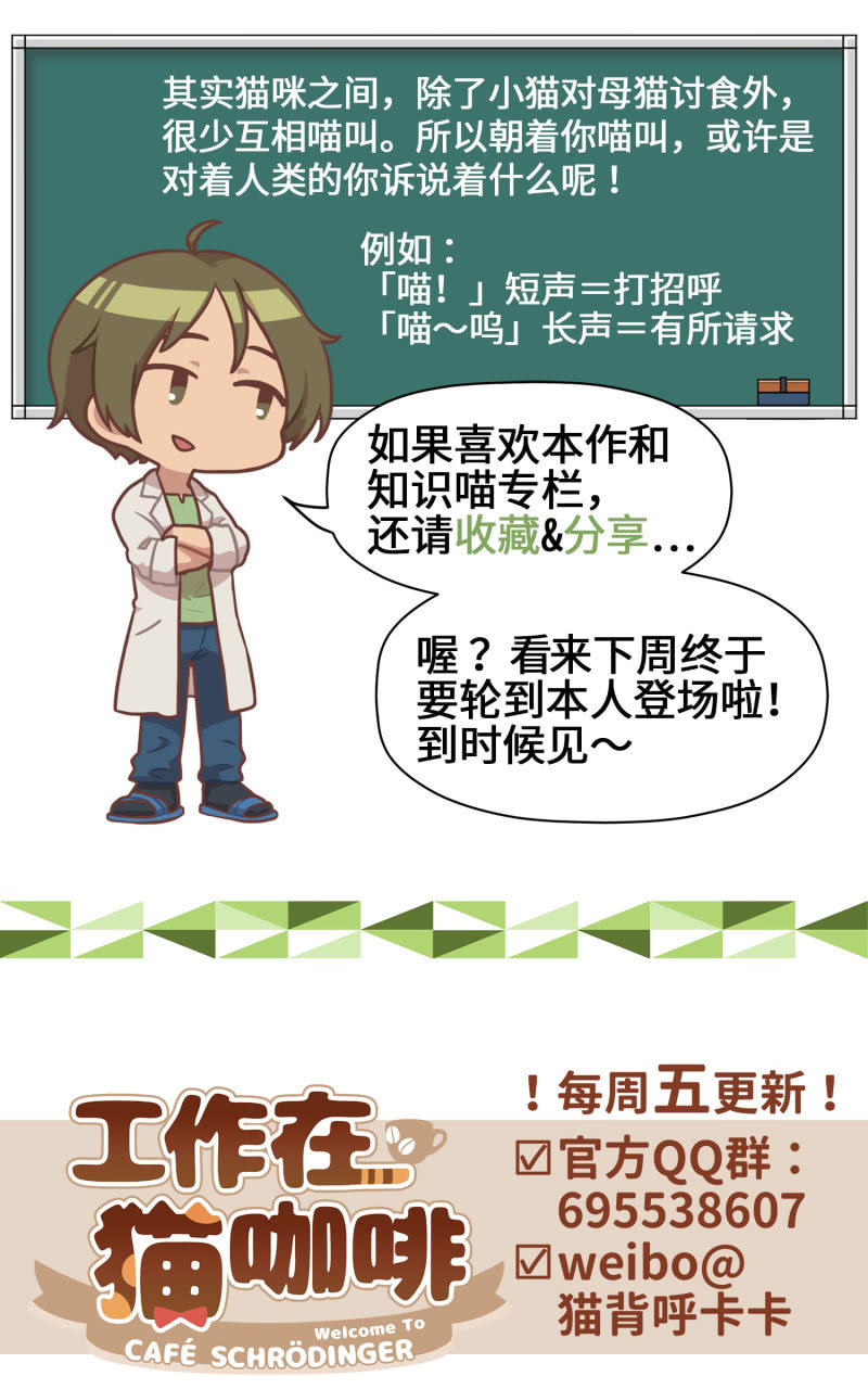第5杯『米米前辈喵！』46