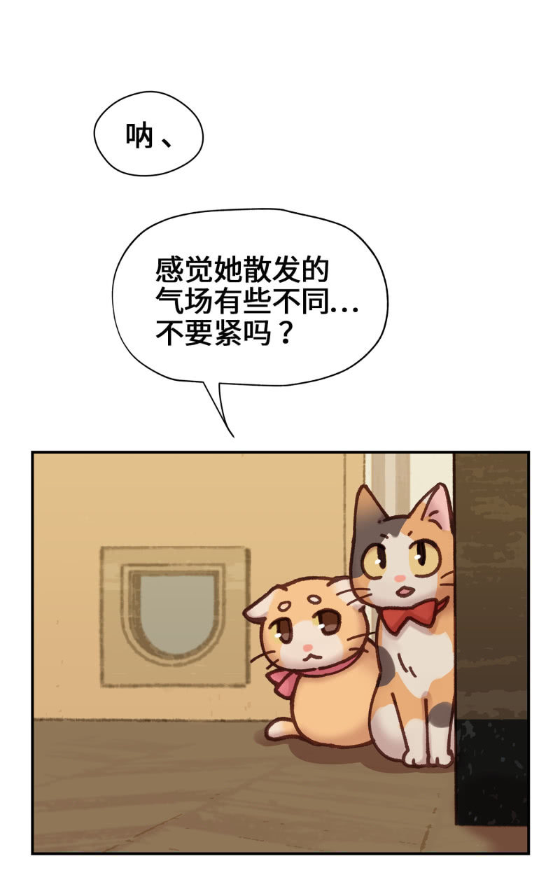 第5杯『米米前辈喵！』7