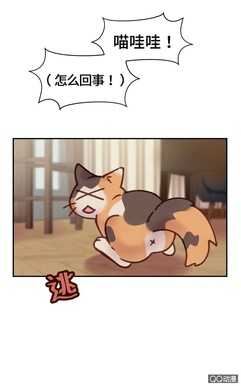 第9杯『猫有失足人有失手』17