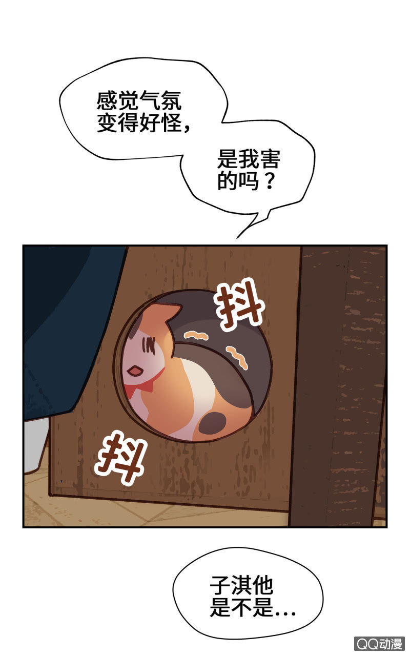 第9杯『猫有失足人有失手』28