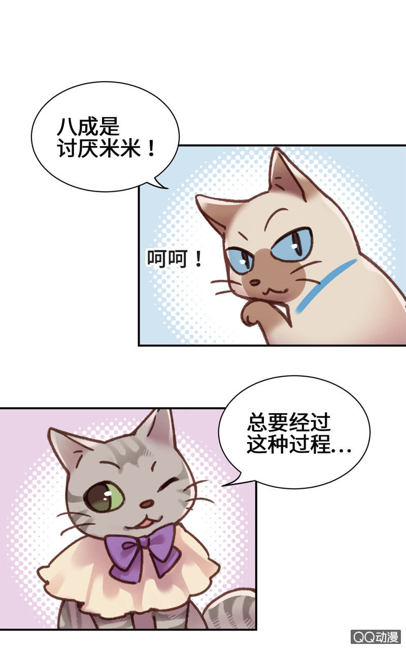 第9杯『猫有失足人有失手』29
