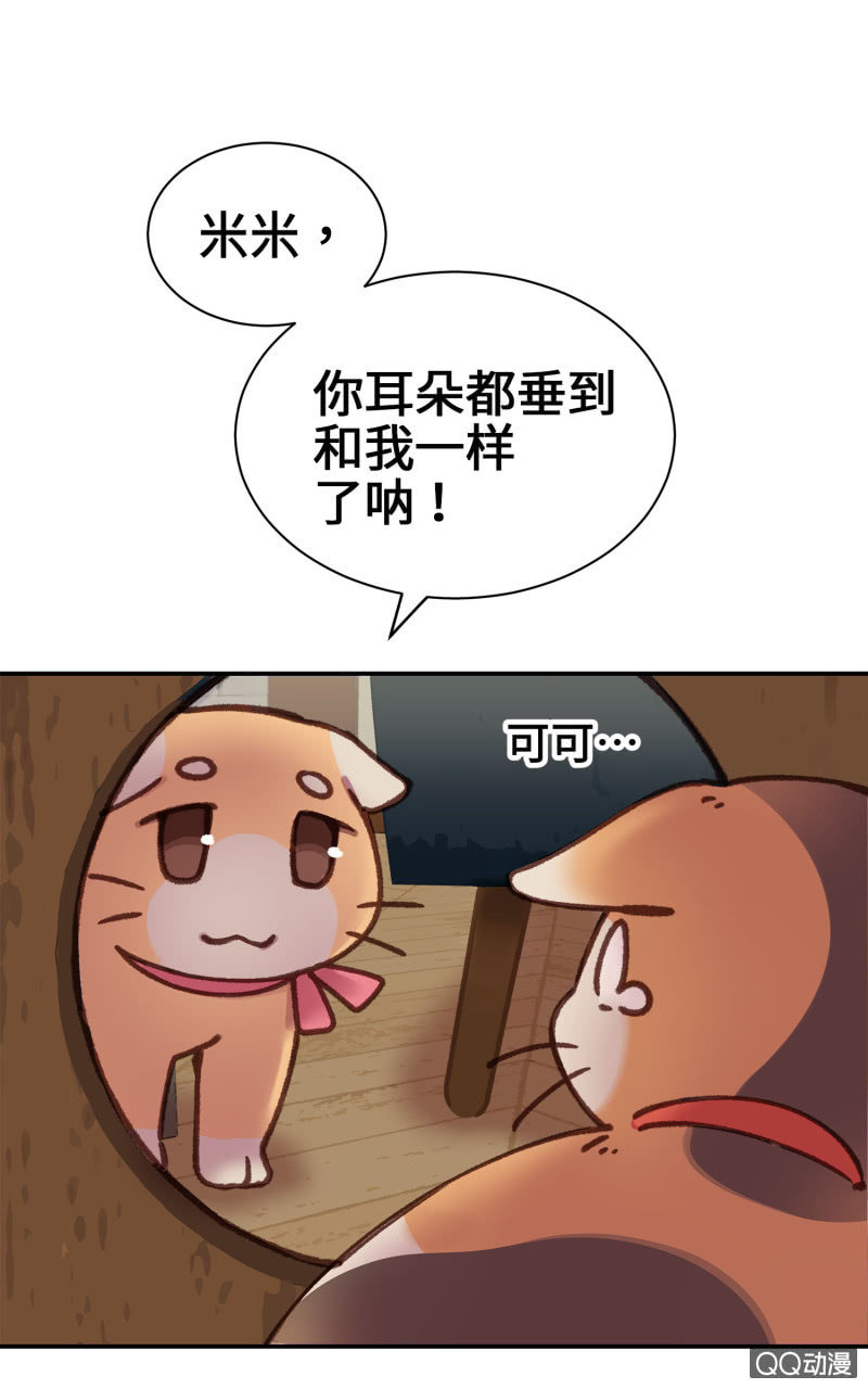 第9杯『猫有失足人有失手』30