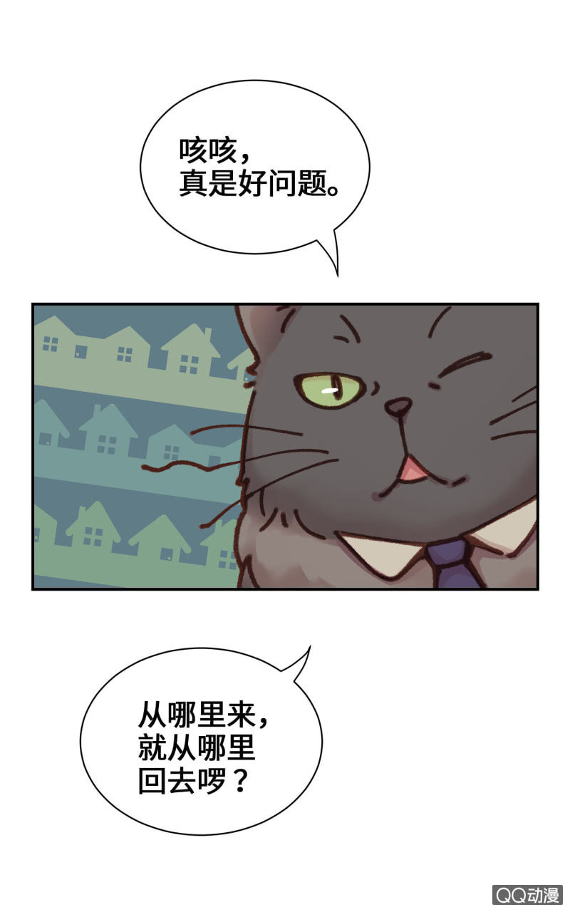第10杯『猫法庭！』13