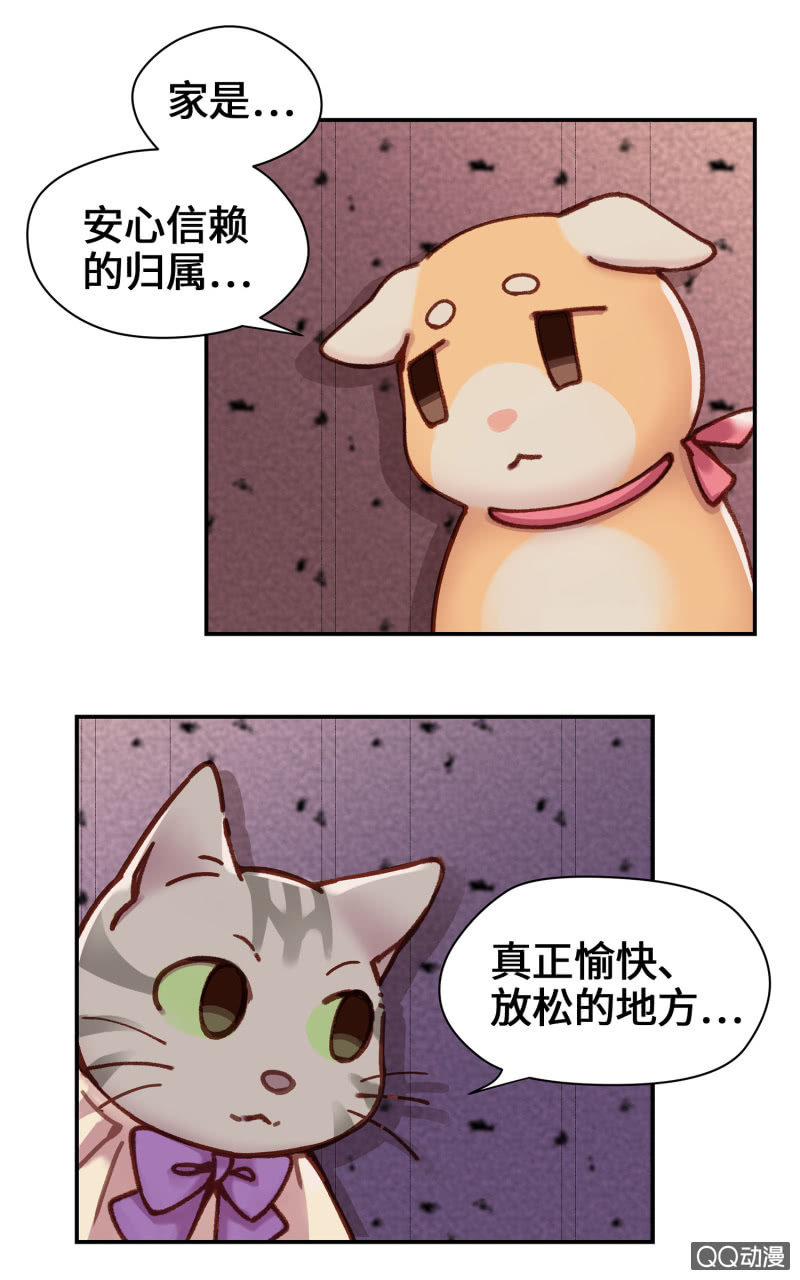 第10杯『猫法庭！』16