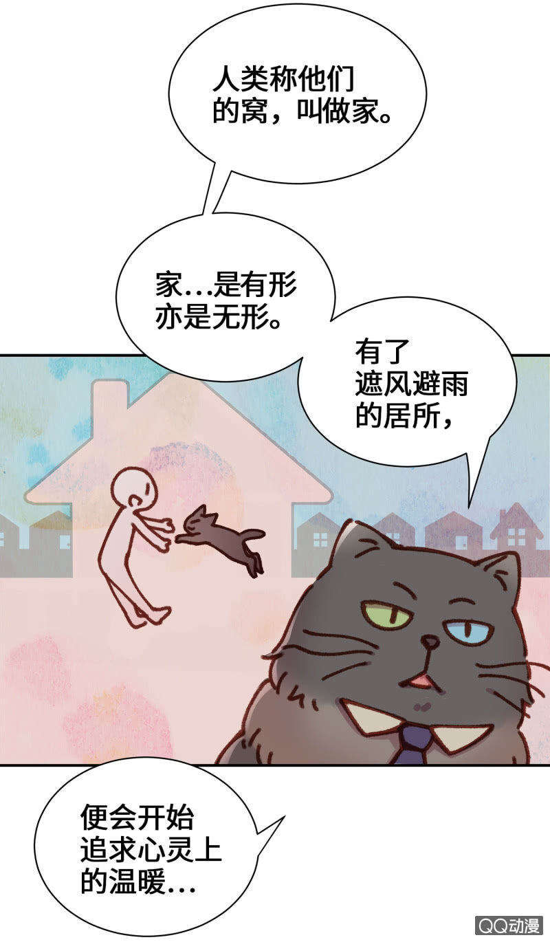 第10杯『猫法庭！』19