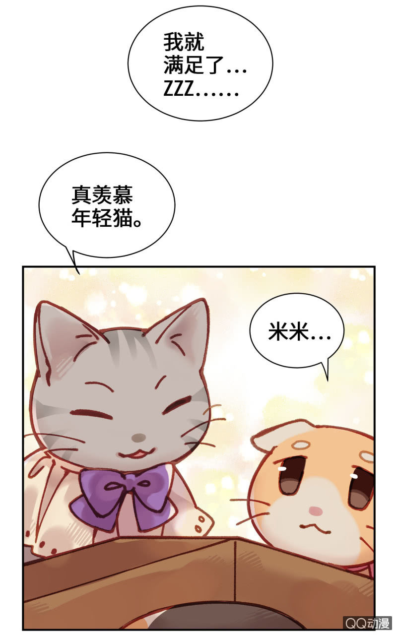 第10杯『猫法庭！』23