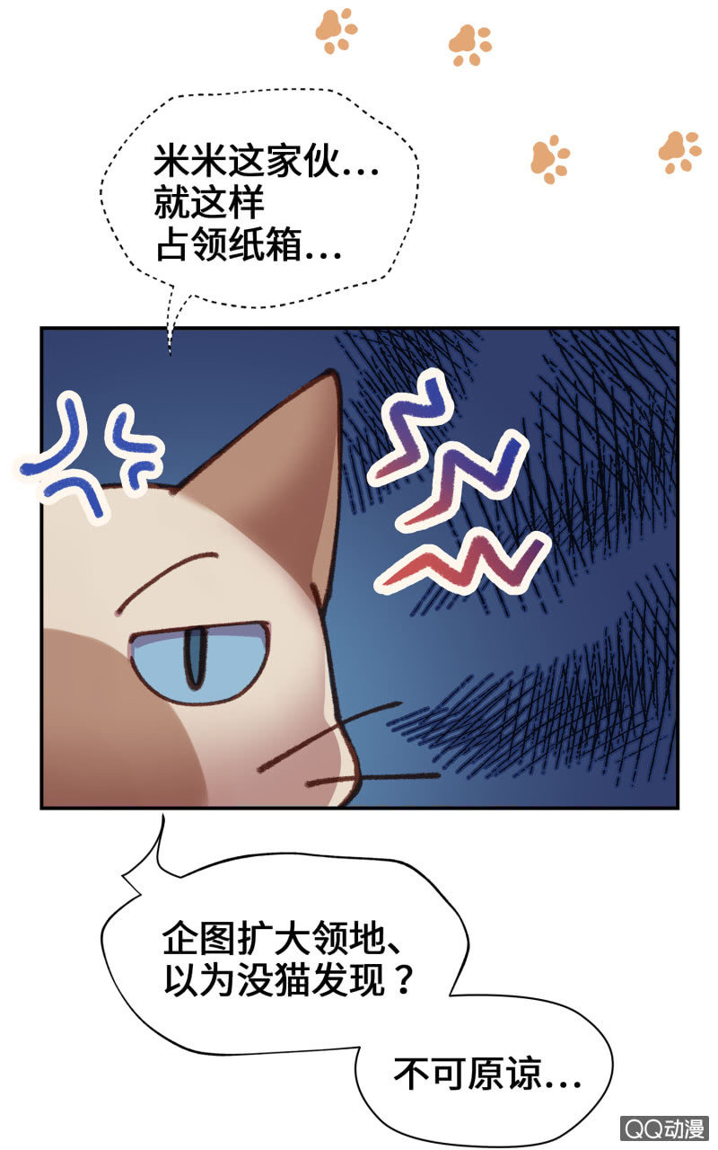 第10杯『猫法庭！』25