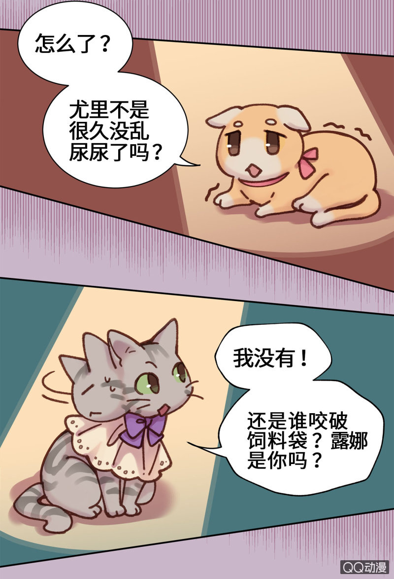 第10杯『猫法庭！』30