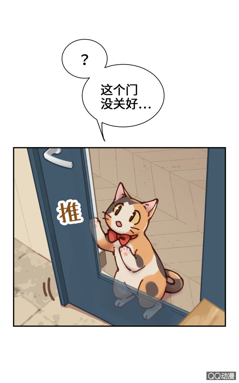 第10杯『猫法庭！』4
