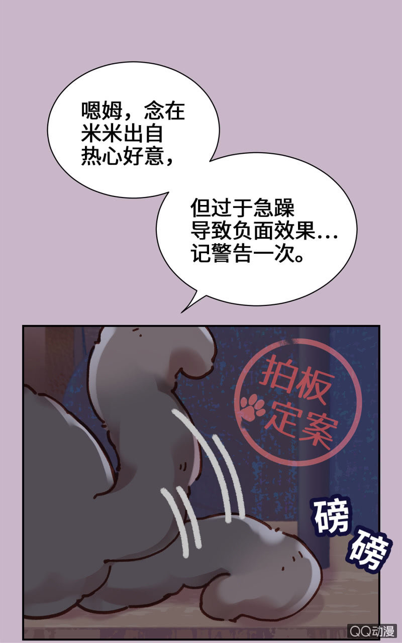 第10杯『猫法庭！』40