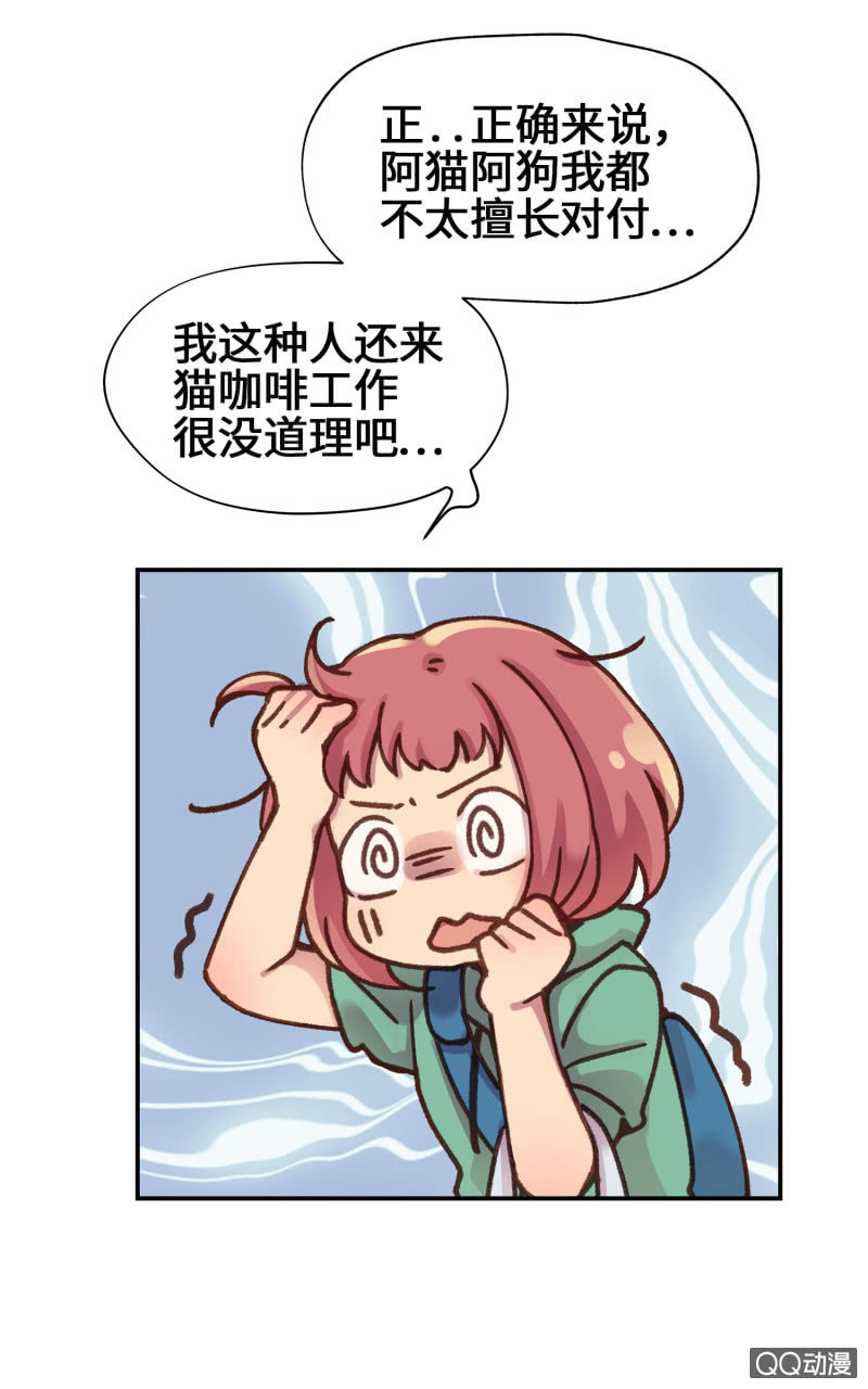 第11杯『雨过天晴』3