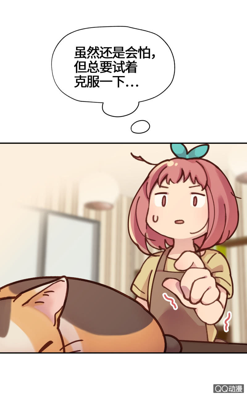 第14杯『椪柑回娘家』1