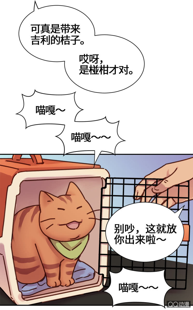 第14杯『椪柑回娘家』15