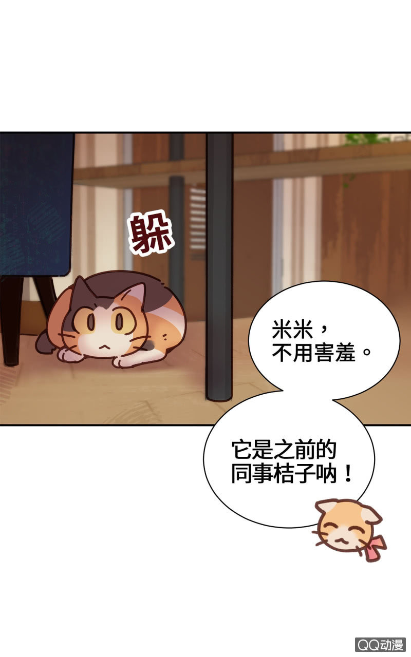 第14杯『椪柑回娘家』21