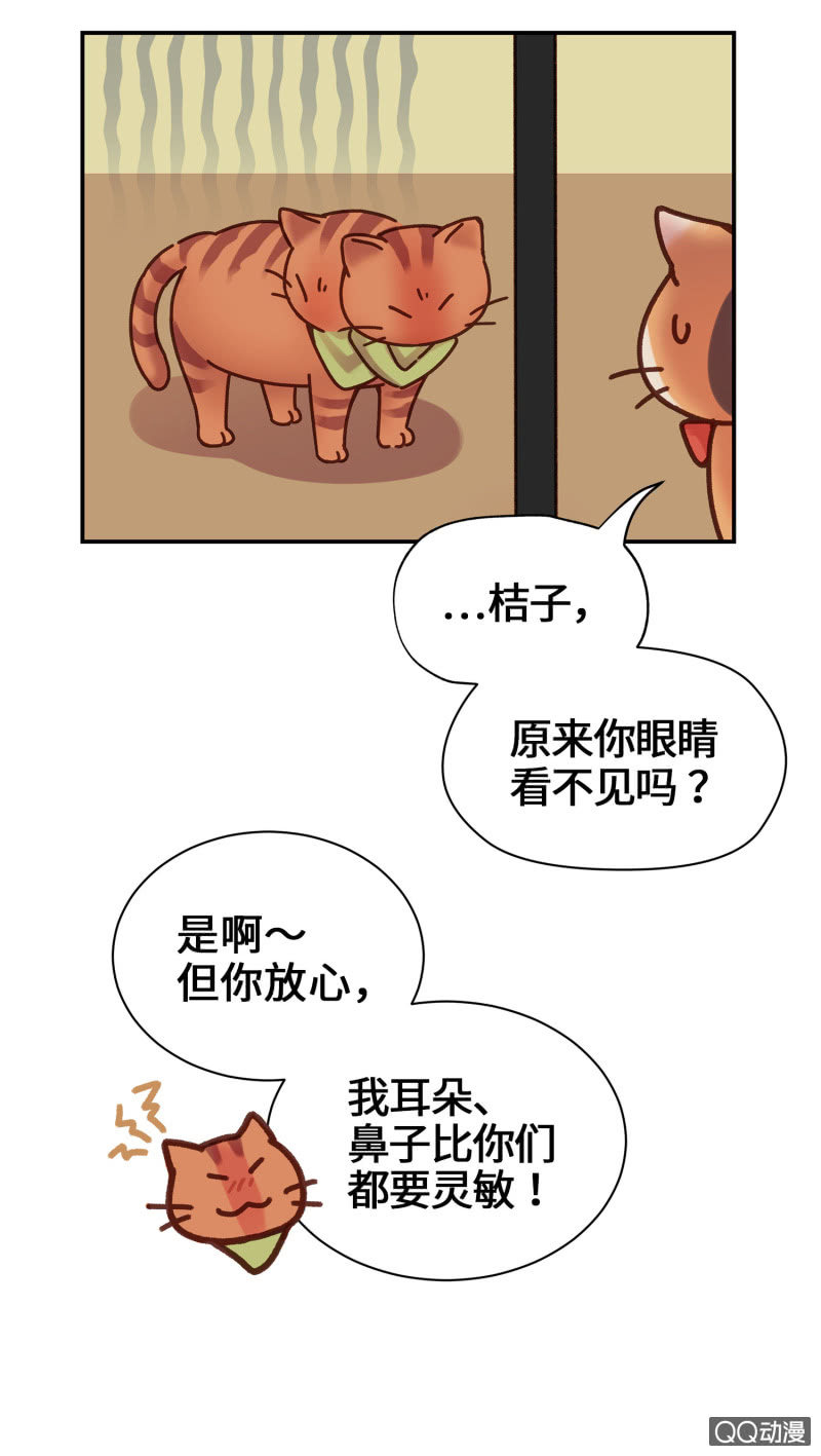 第14杯『椪柑回娘家』24