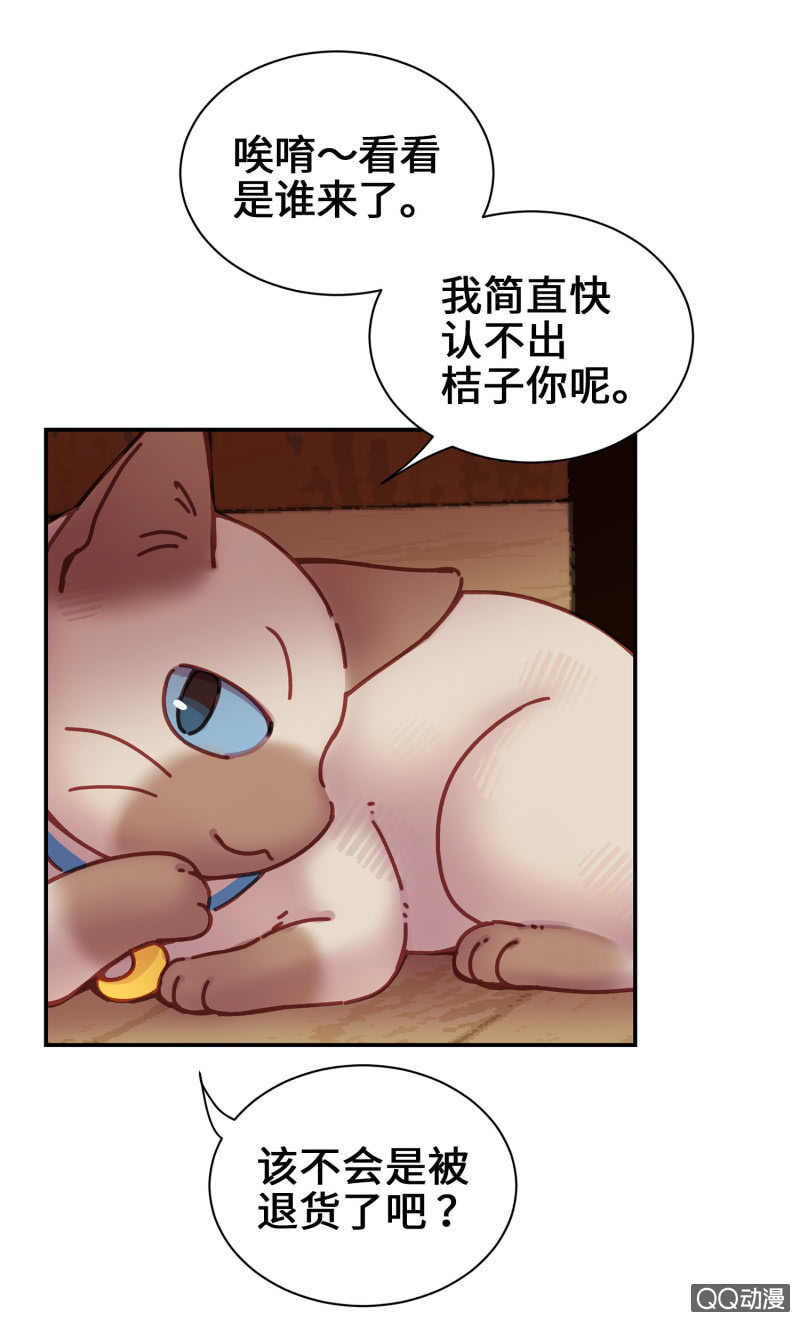 第14杯『椪柑回娘家』25