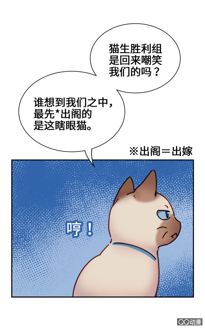 第14杯『椪柑回娘家』33