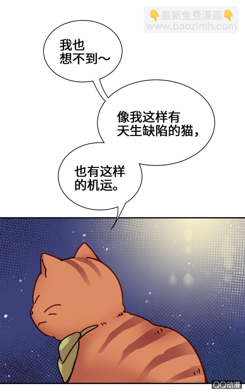 第14杯『椪柑回娘家』34