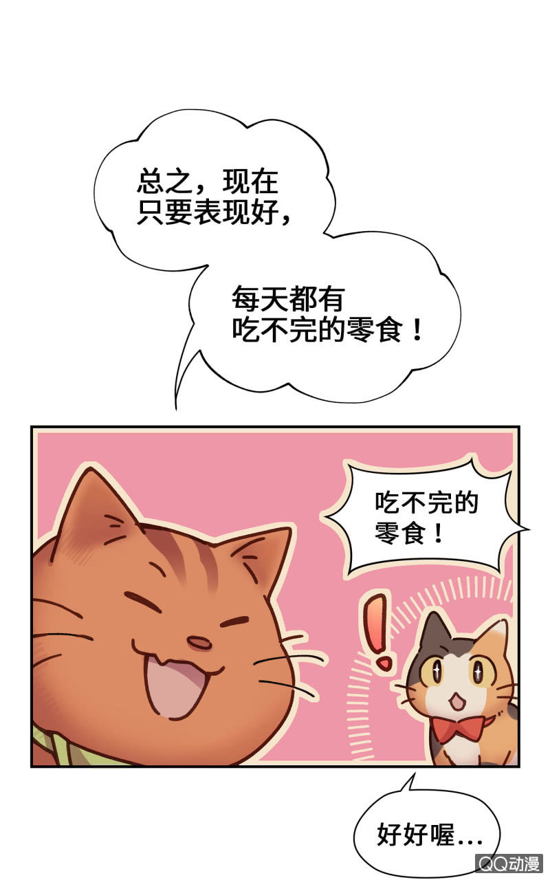 第14杯『椪柑回娘家』35