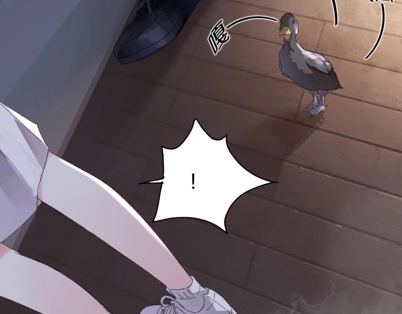 第31话 产饵过程4