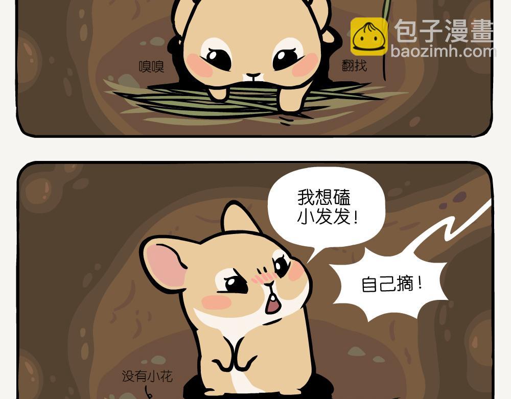 第14话 高原鼠兔3