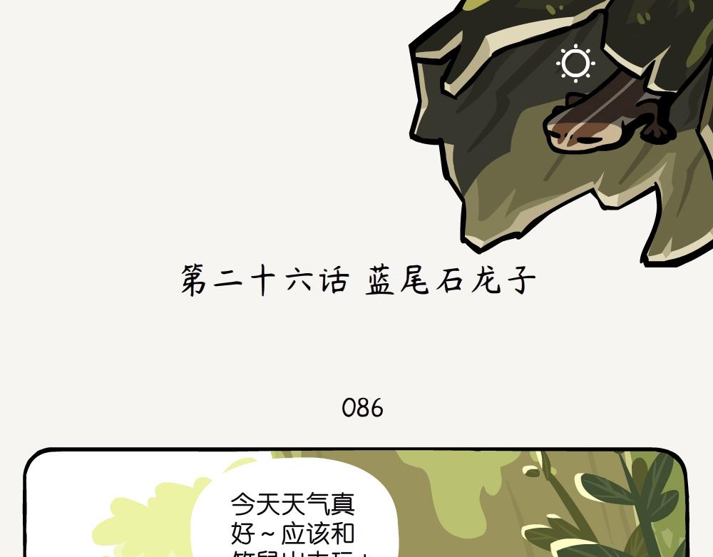 第26话 蓝尾石龙子1