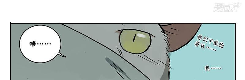 22 猫奴22