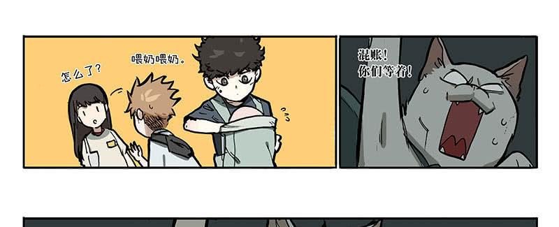 22 猫奴26