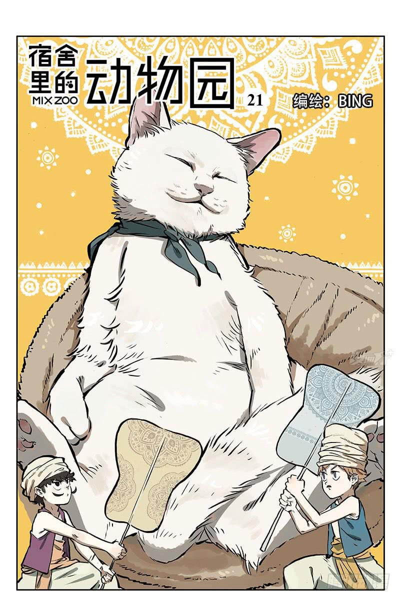 22 猫奴4