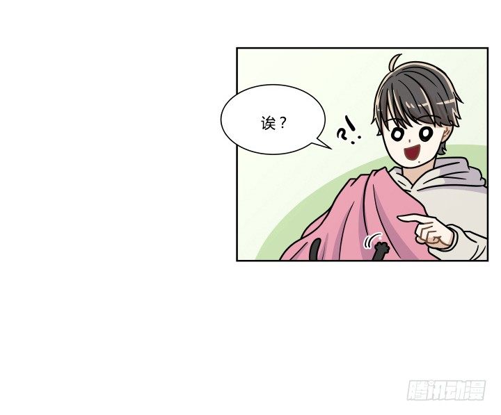 哀求10