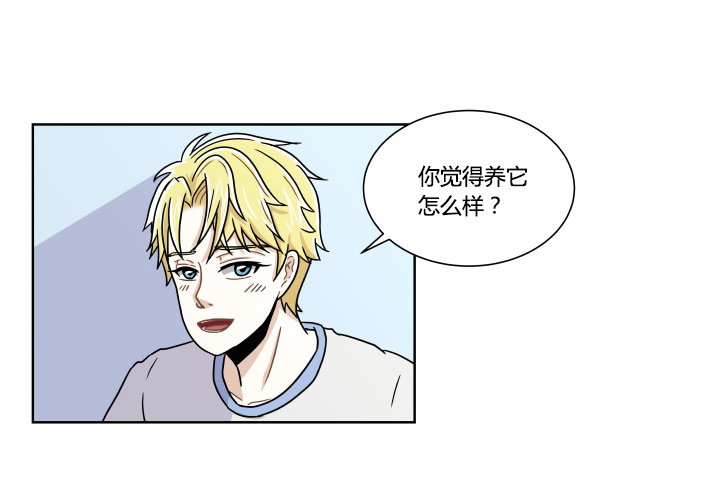 哀求17